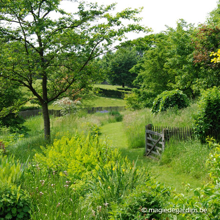 Brabant flamand: Arboretum Kreftenbroeck Fondation