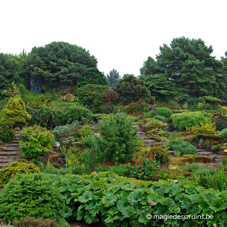 Royal Botanic Garden of Edinburgh