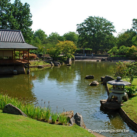 Limbourg: Jardin Japonais de Hasselt