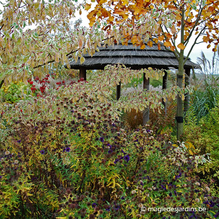 Hainaut: Jardins Amoena