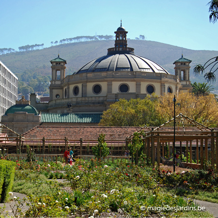 Company’s Garden (City Bowl – Cape Town)