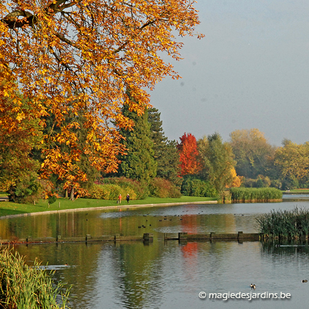 Brabant flamand: Parc de Tervuren