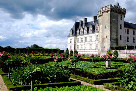 Indre-et-Loire: Jardins du Château de Villandry