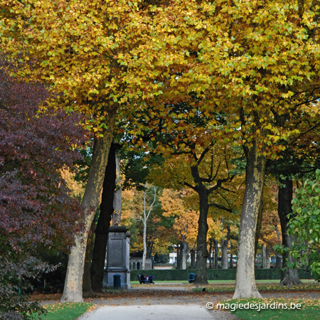 Bruxelles: Parc du Cinquantenaire