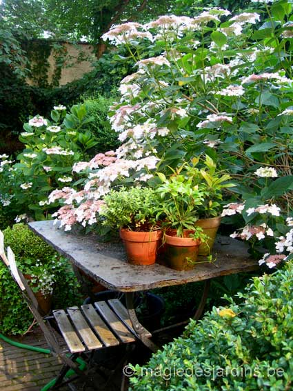 Bruxelles: Un petit jardin de ville