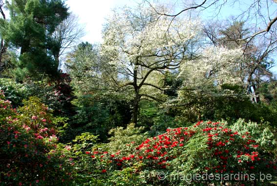 Lago Maggiore: Jardin Botanique de la Villa Taranto