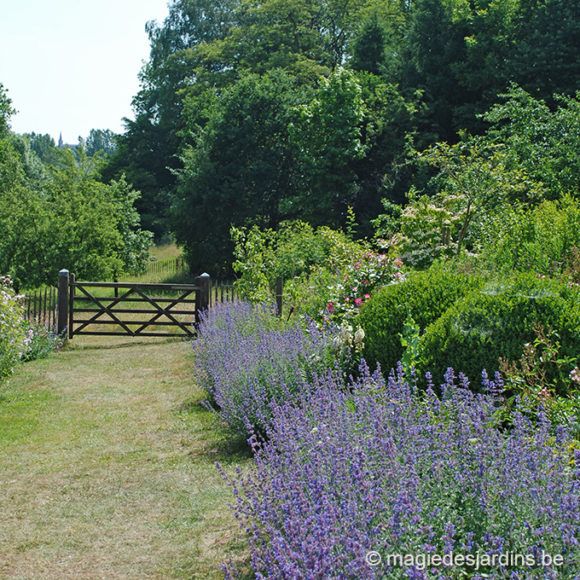 Een gezonde tuin zonder pesticiden  (Deel 1)