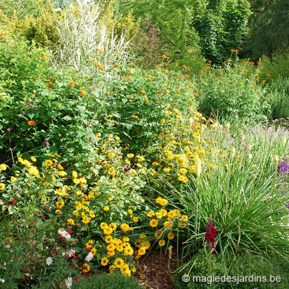 Een gezonde tuin zonder pesticiden (Deel 2)