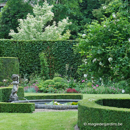 Enkele tuintips over heesters voor uw tuin