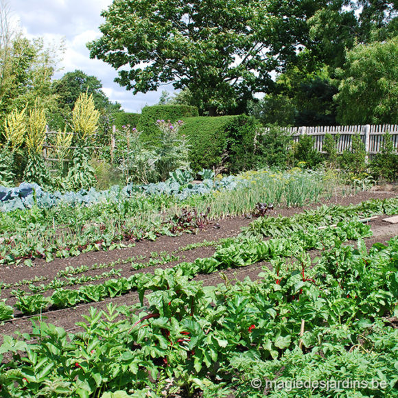 Maart in de moestuin