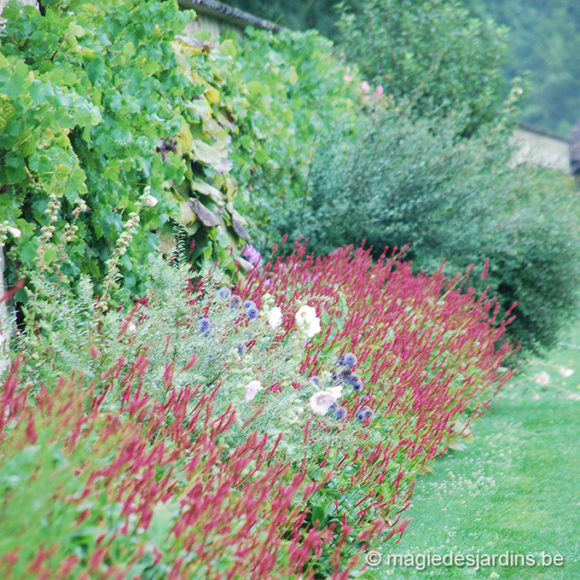 Een tuin waar de natuur welkom is (Deel 1)