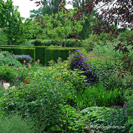 Keuze van vaste planten in uw borders.