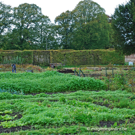 April in de moestuin