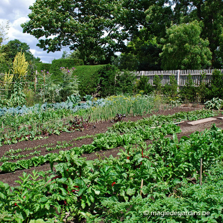 Mei in de moestuin