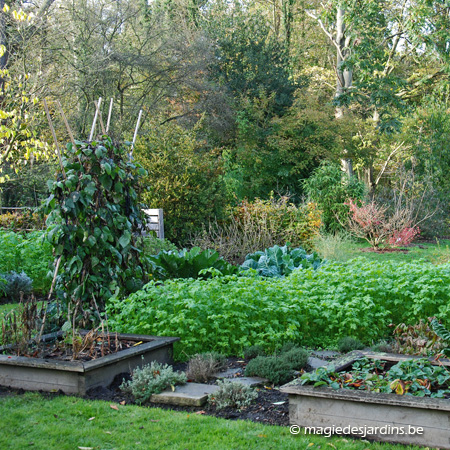 November in de moestuin