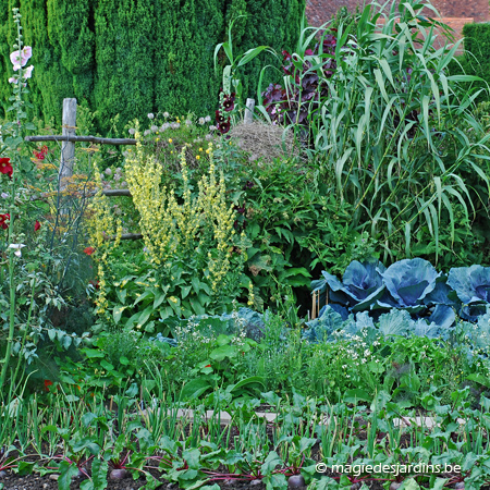 September in de moestuin